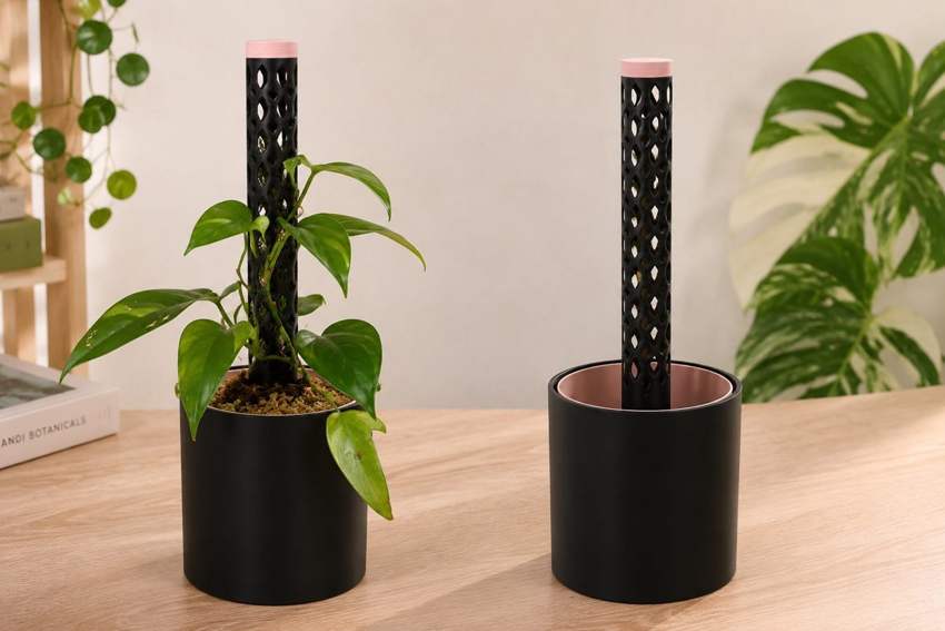 Plantsyra MossNest als fertig zusammengestelltes Pflanz- und Moosstab-System