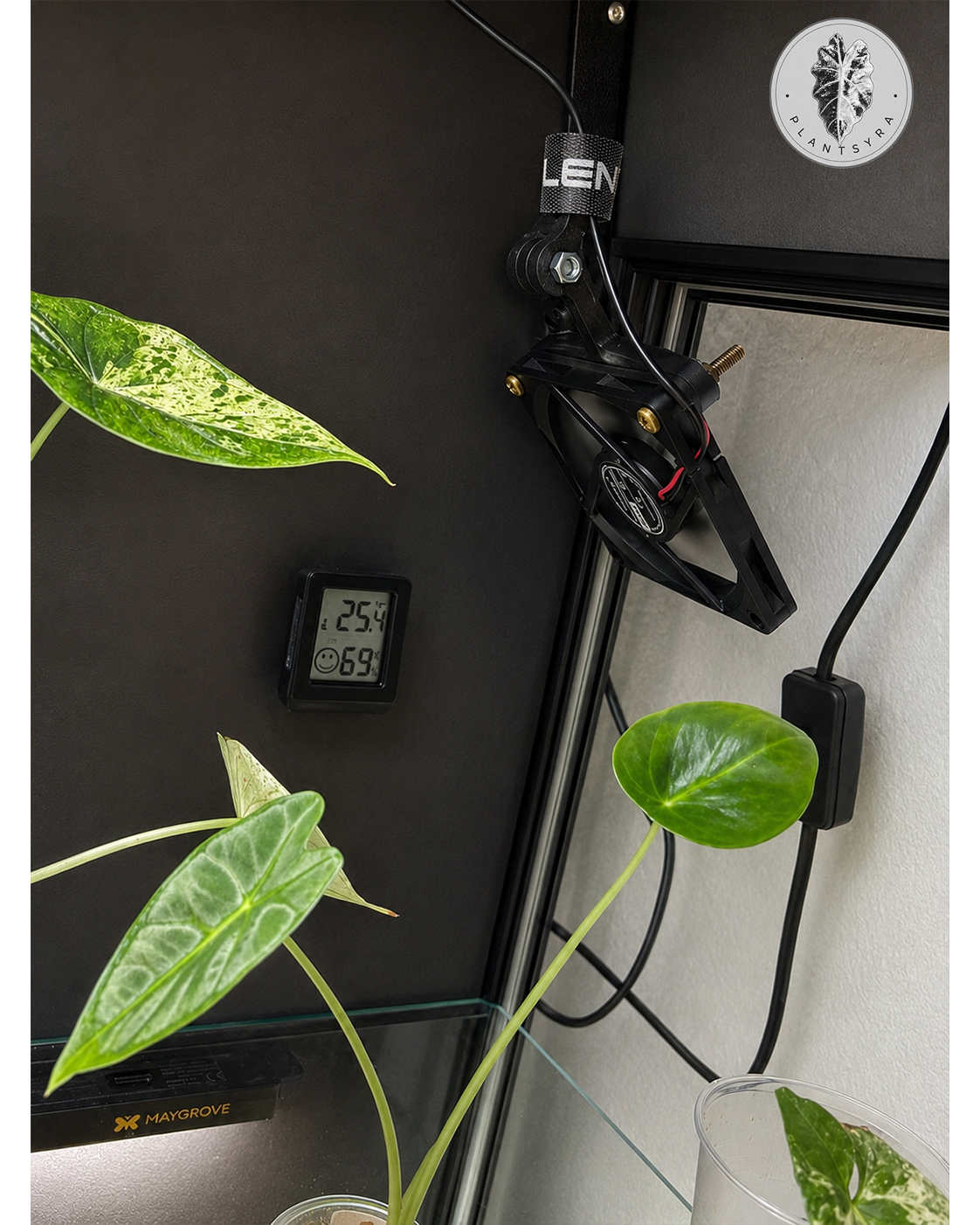 Plantsyra Vitrinen-Lüfter mit Gelenkarm in einer Pflanzenvitrine